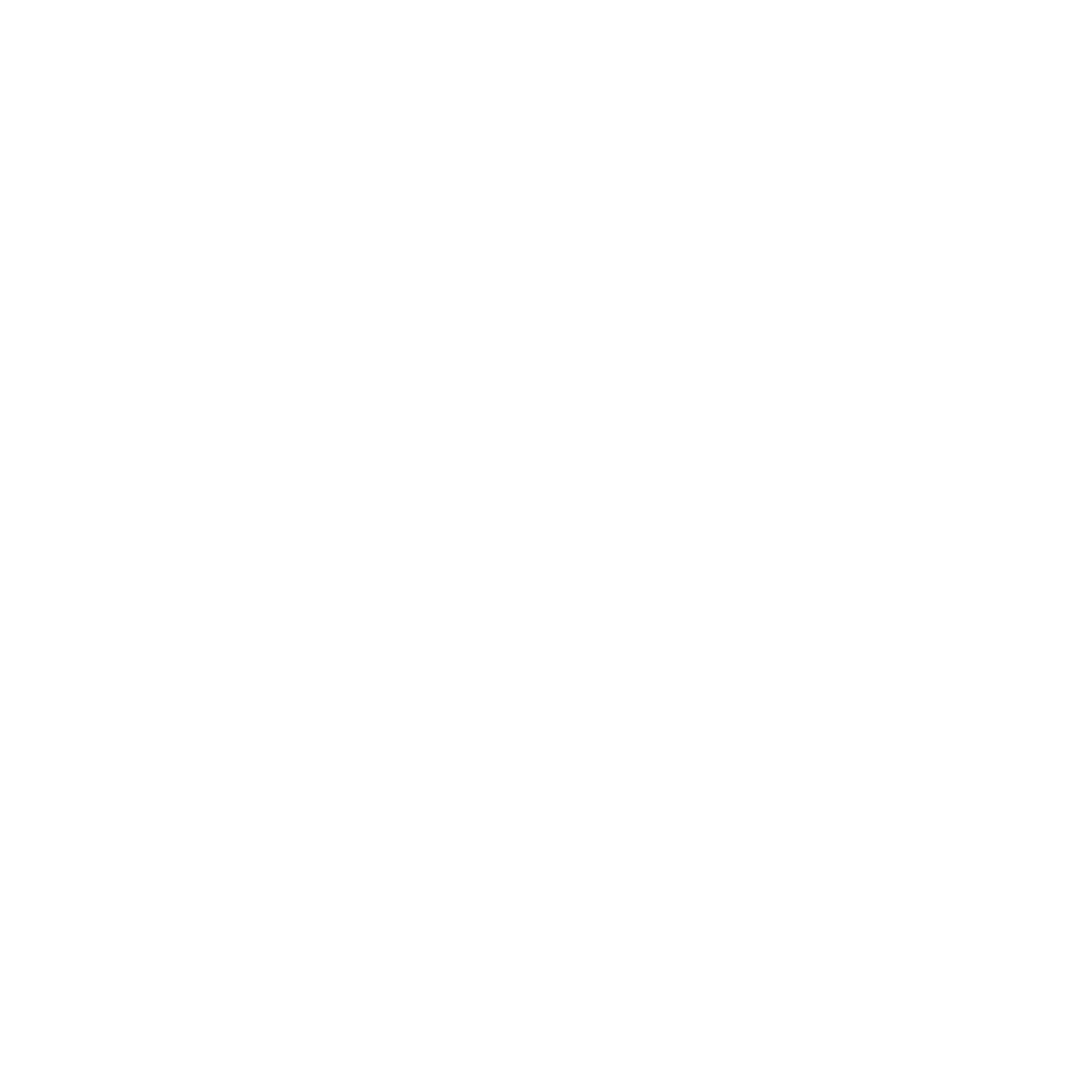 EVO Logo